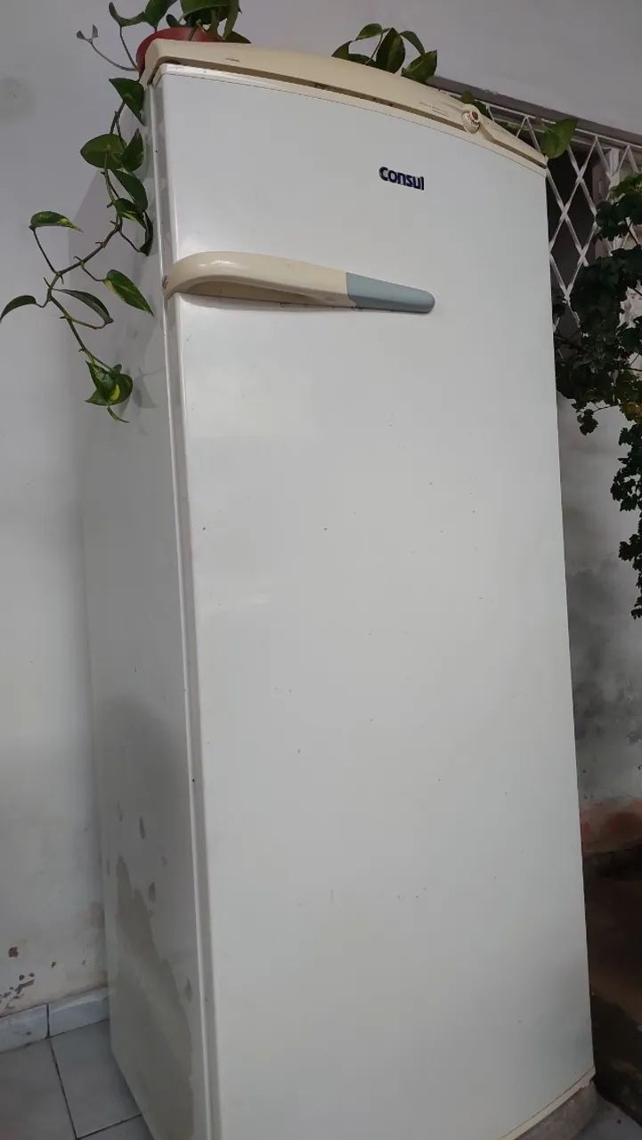 Geladeira Consul 320l