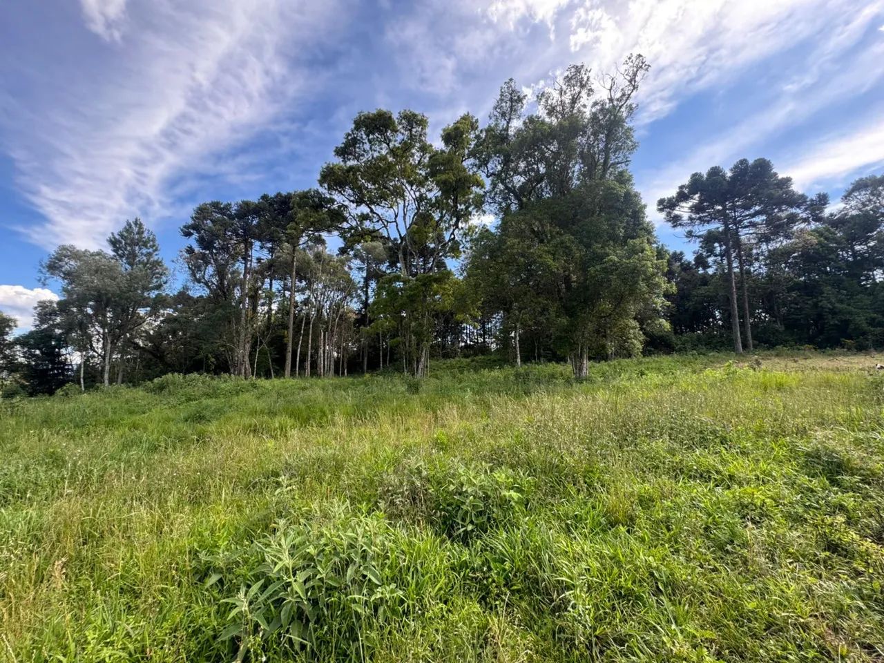 Terreno, otimo, muito bem localizado e apto para qualquer tipo de negócio  - Foto 3