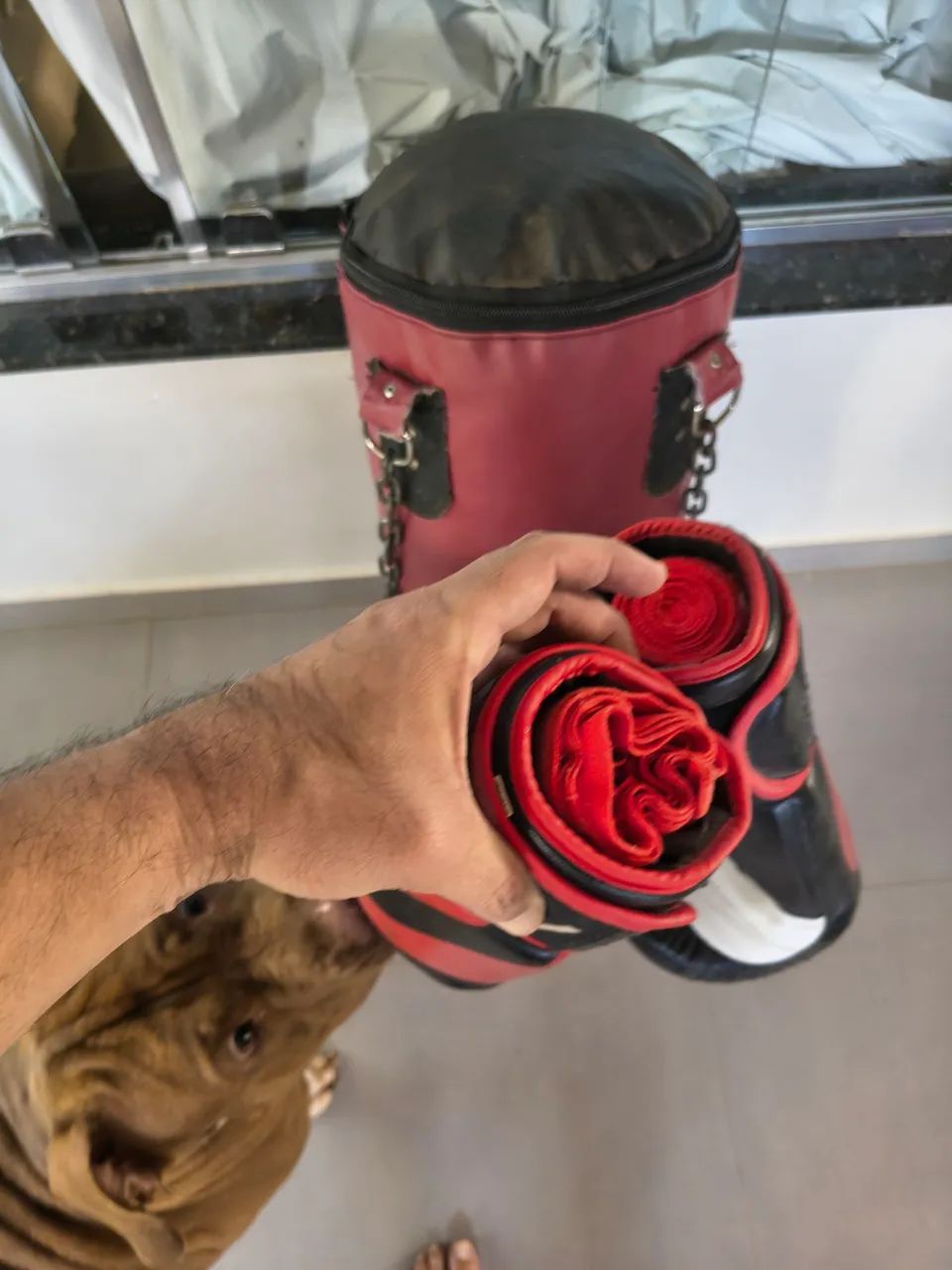 Vende se saco de Box valor 350 - Foto 2