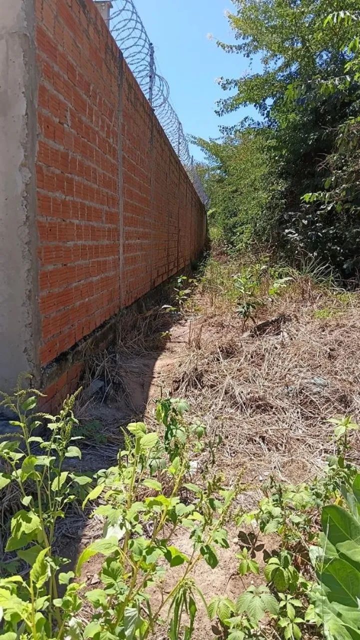 Terrenos - Foto 3