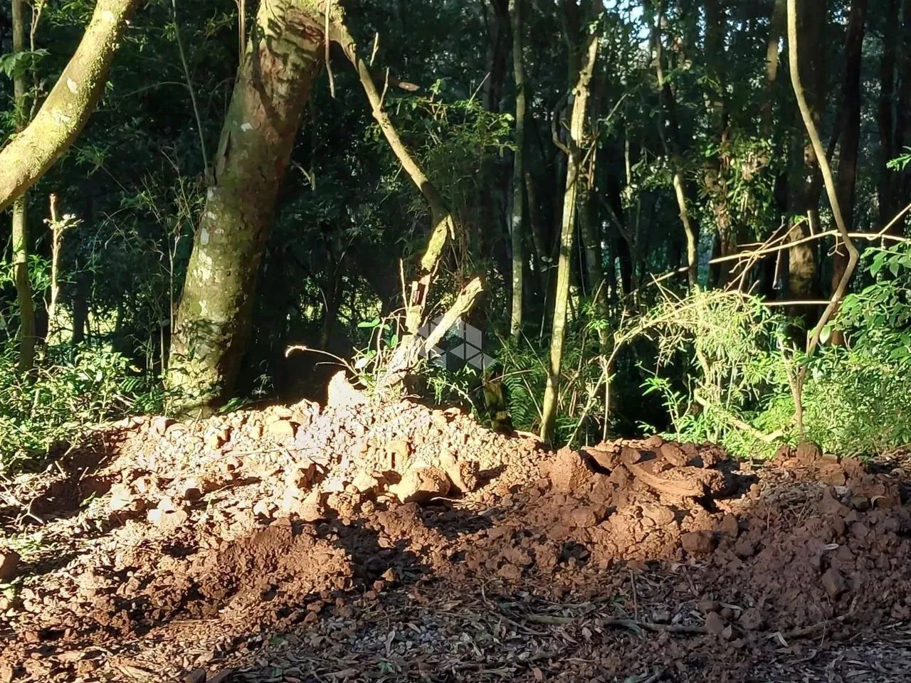 Área de terra de 02 hás agricultável - Foto 9