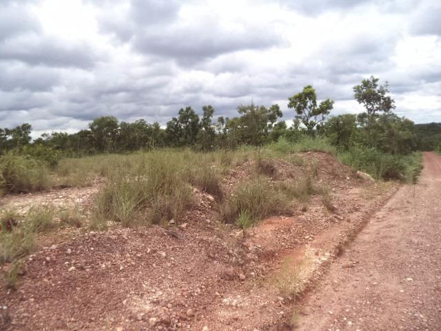 Chacara sentido estrada Guia - Foto 13