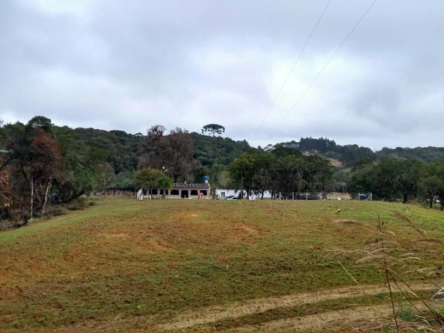 Lindo sítio terra boa