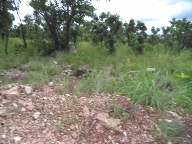 Chacara sentido estrada Guia - Foto 3
