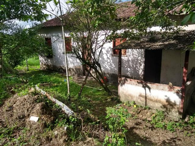 Fazenda - Foto 6