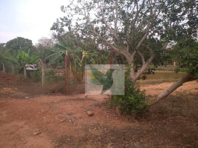Chácara com 2 dormitórios à venda, 13200 m² por r$ 250.000 - jardim rivera - Foto 12