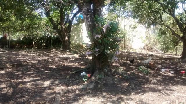 Venda - Chácara em Jacareí - 3000m2 - Foto 19