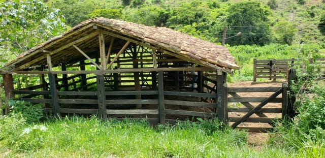Fazenda 295 hectares próximo de Governador ValadaresMG - Foto 9