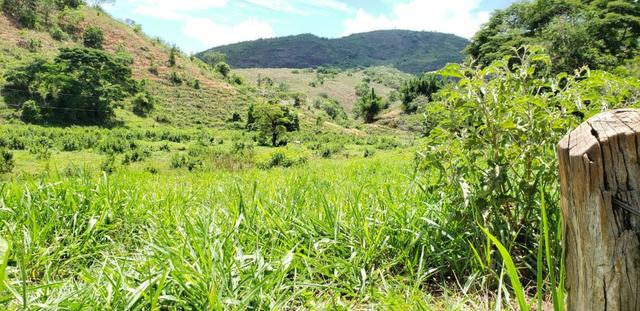 Fazenda 295 hectares próximo de Governador ValadaresMG - Foto 15