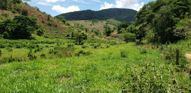 Fazenda 295 hectares próximo de Governador ValadaresMG - Foto 16