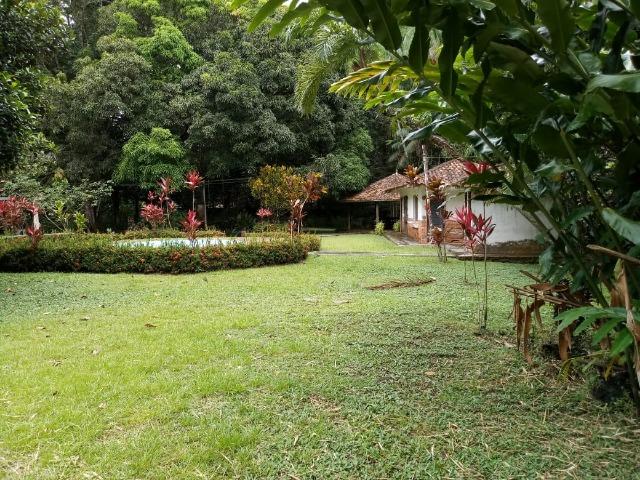 Vende-se Belissima Chácara em Benevides 40.000m - Foto 10