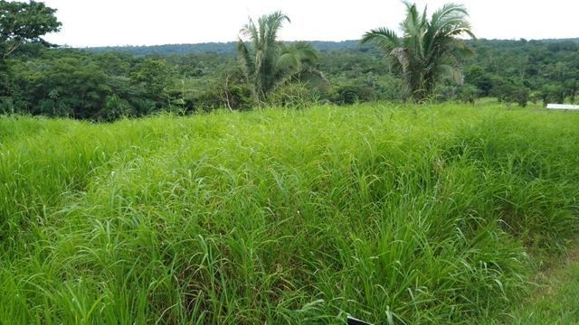 29,00 Hectares, Beira Rio Sepotuba, um Sonho-Tangará, Ligue Agora!!! - Foto 2