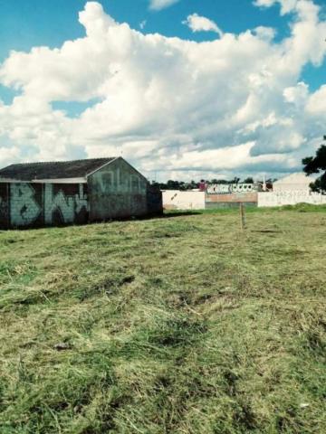 Atuba, Terreno de Esquina, Documentação Ok, Financia - Foto 2