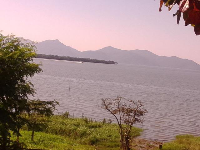 Terreno Morro do Amaral - Foto 2