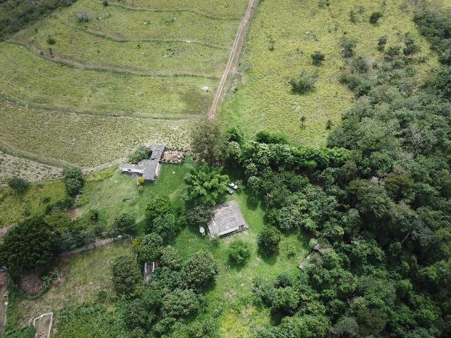 Fazenda- 69,33 hectares- Santo Antônio do Descoberto - Foto 20