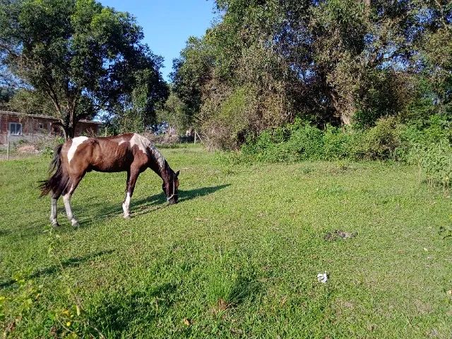 Vendo Terreno Parcelado - 450m2 - Itaboraí - Foto 2