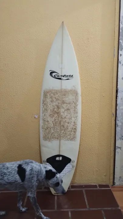 Prancha de surf Canfield