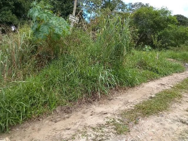 Terreno 570 m2 - Foto 2