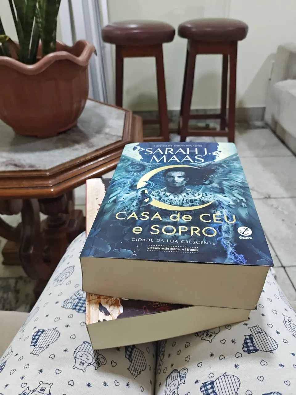 Cidade da Lua Crescente - Sarah J. Maas