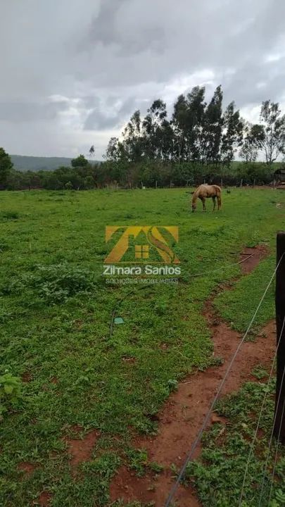 Fazenda, 32 alqueires - Zona Rural - Palmas/TO - Foto 2