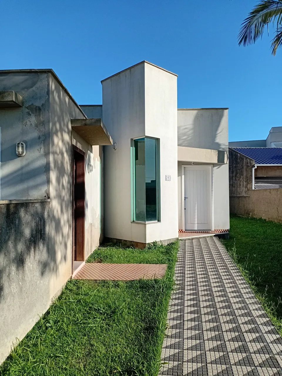 Foto - Tubarão - Recife