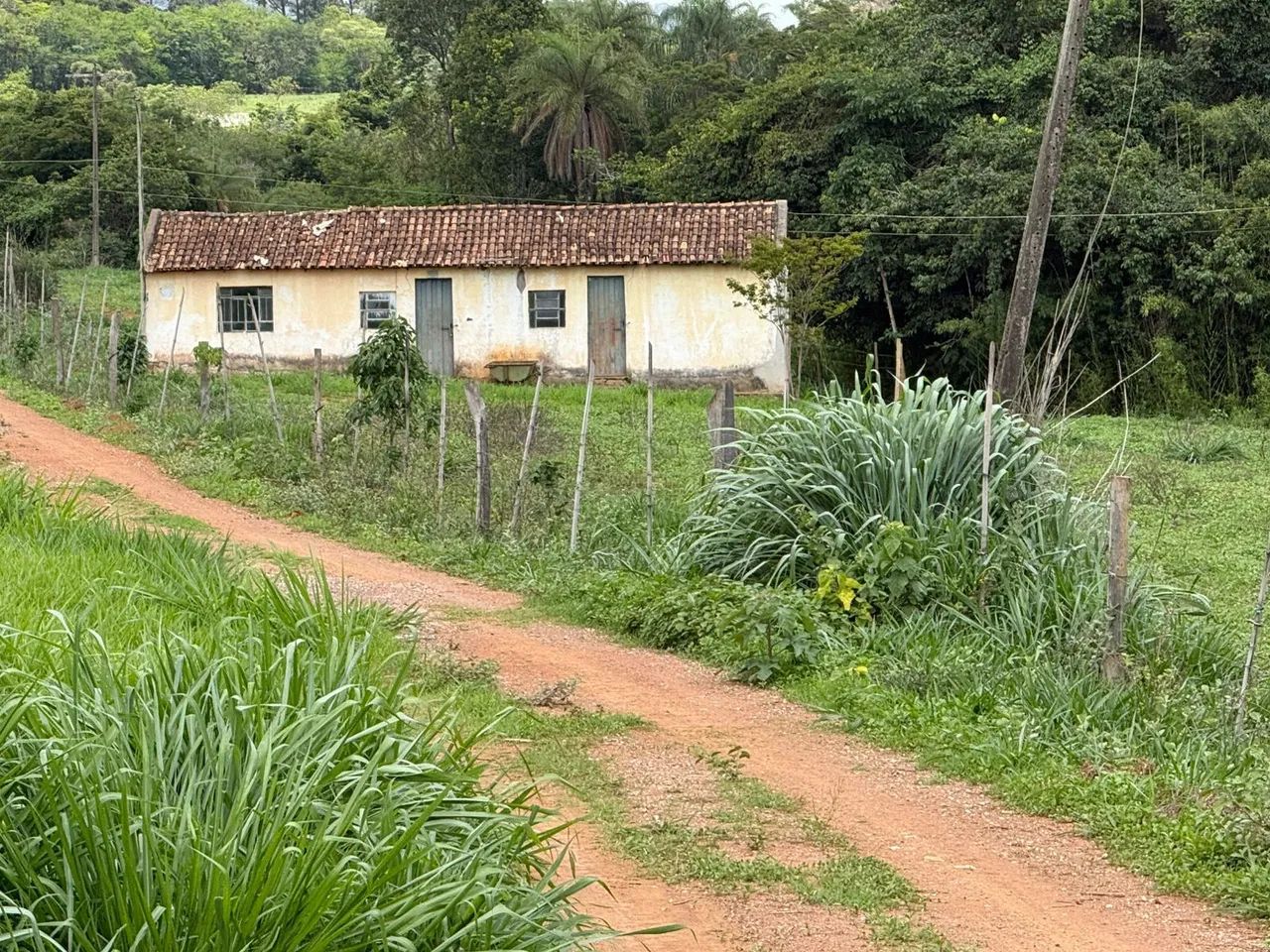 Terreno de 20 mil metros com casinha simples 