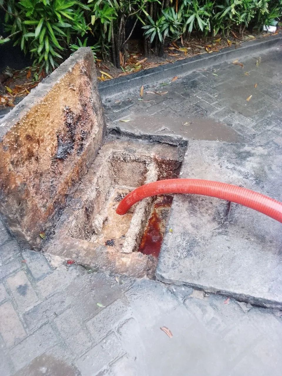 Limpa fossa  - Foto 4