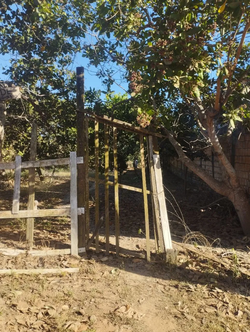 Terreno 10x30 plano 