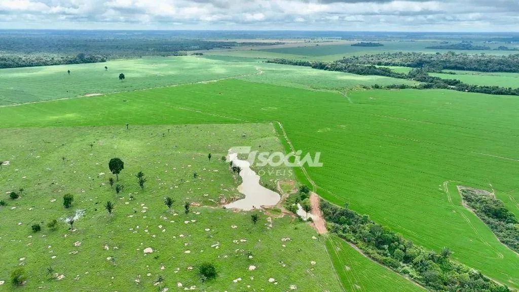 Fazenda à venda localizada a 36Km de Porto Velho