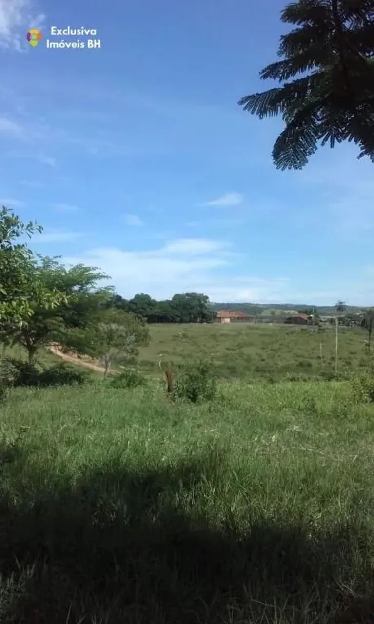 Fazenda à Venda em Abaeté - MG. 652 ha - Zona Rural. - Foto 2