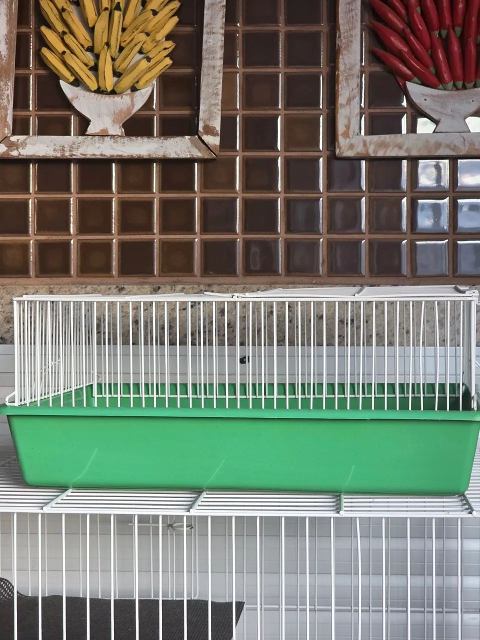 Gaiola para Roedores