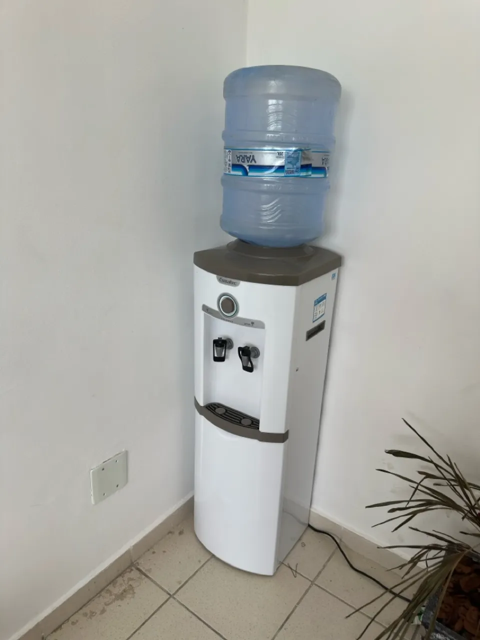 Bebedouro de água com galão - Ideal para casa ou escritório