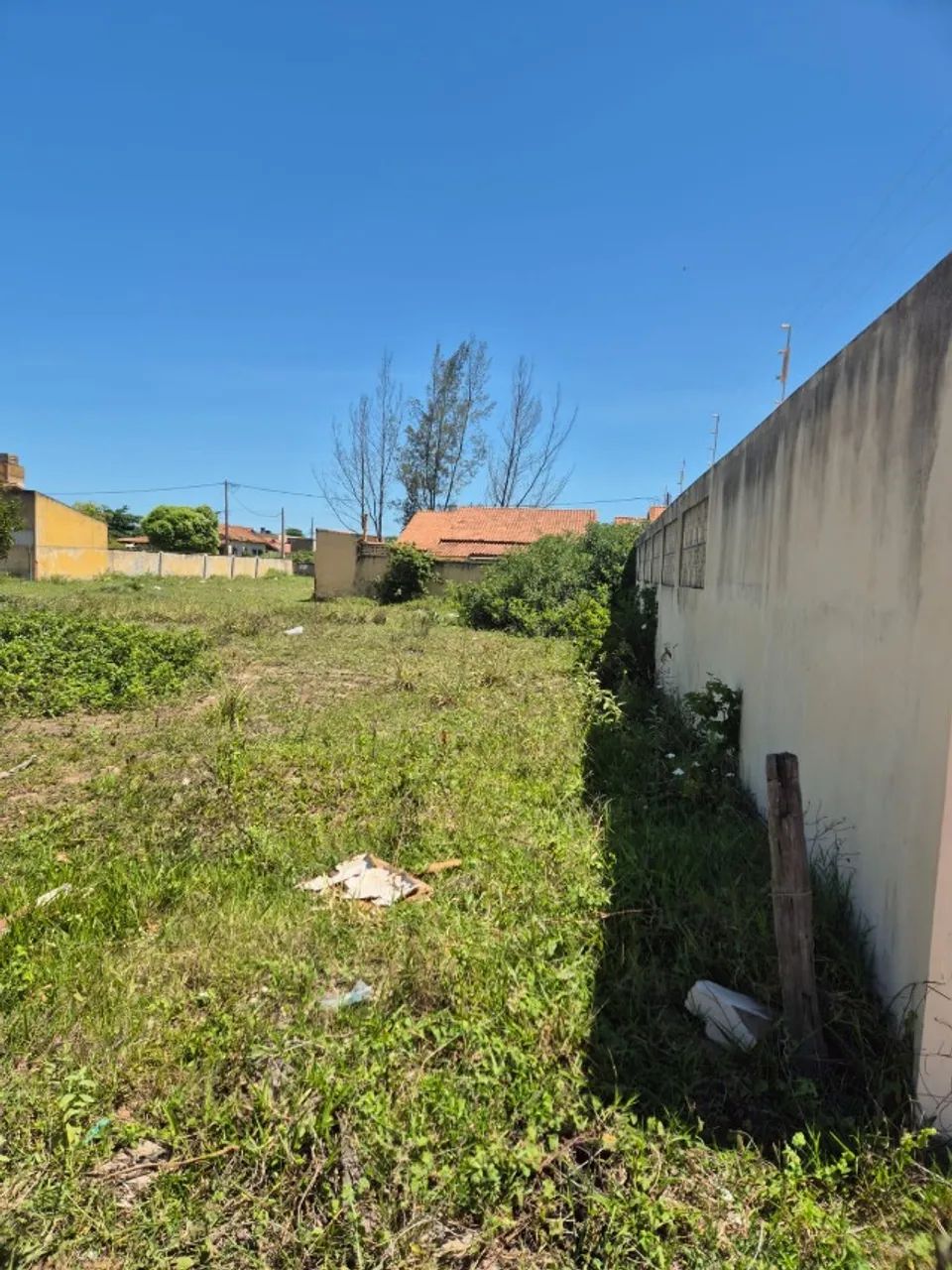 Foto - São Francisco de Itabapoana - 