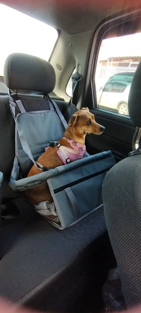 2 Cadeirinhas NOVAS  - Foto 3