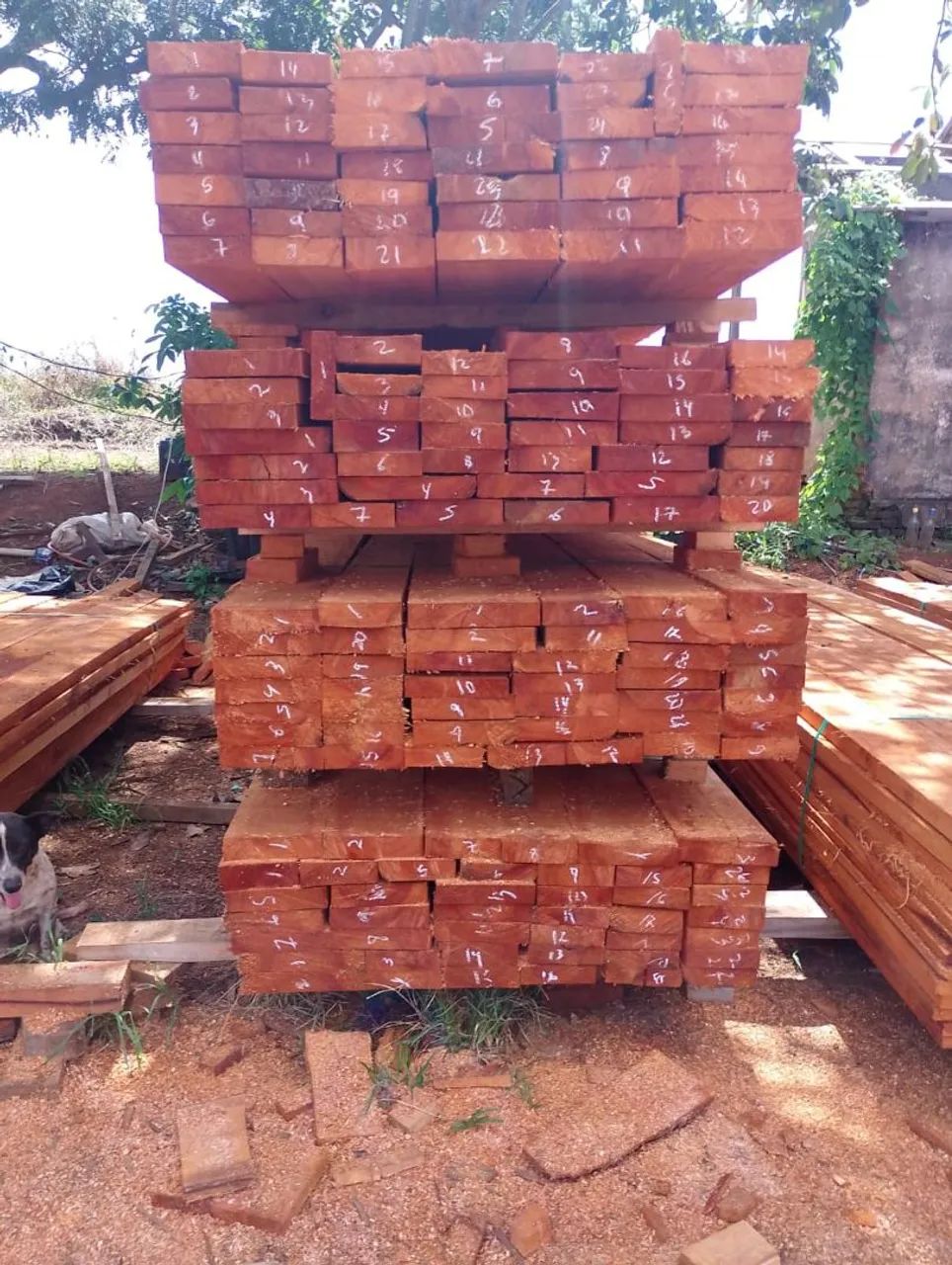 Madeira de Cedro - Foto 2