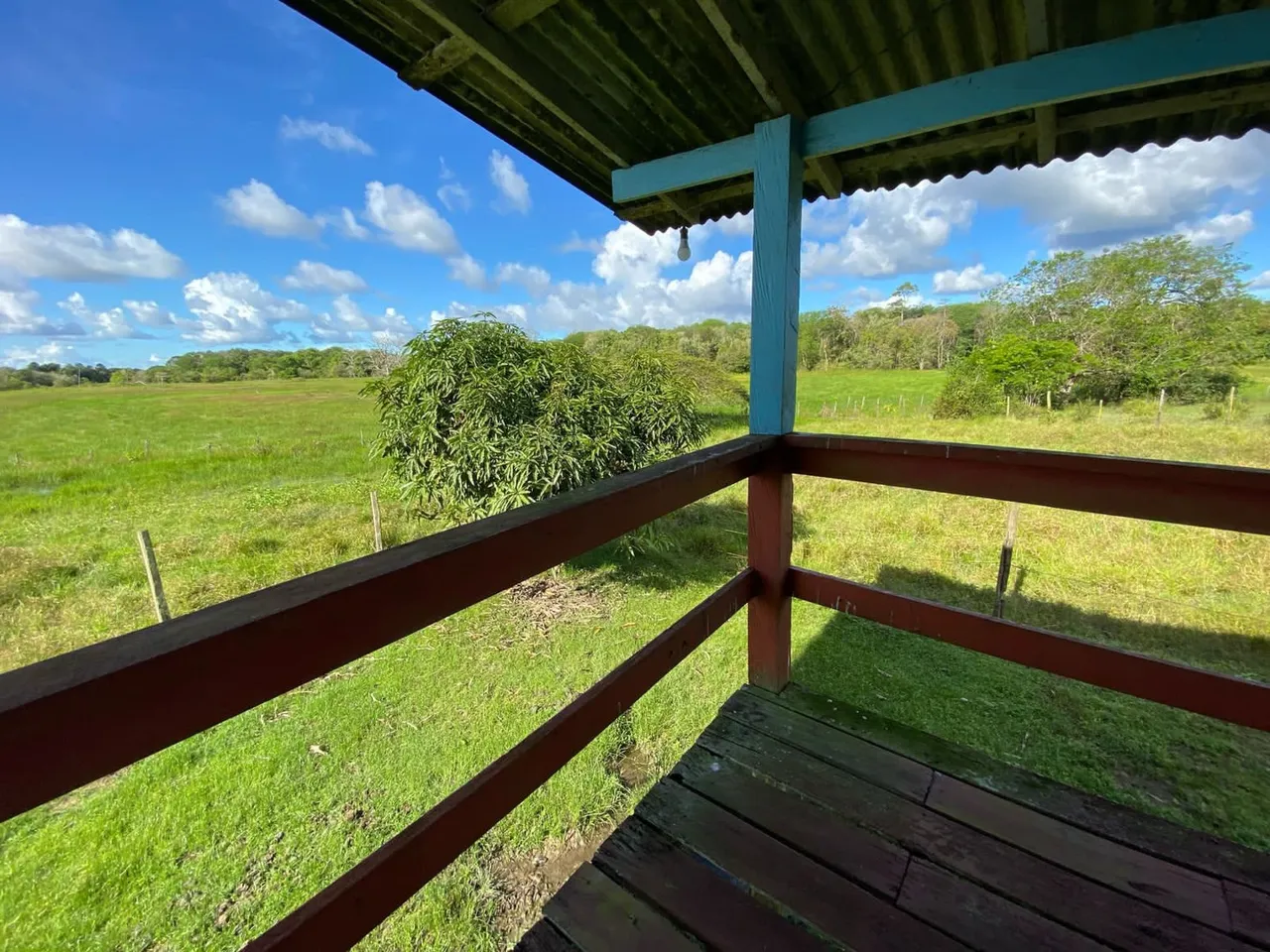 Linda Fazenda na Região da rodovia AP 70 aproximadamente 50 km de Macapá.