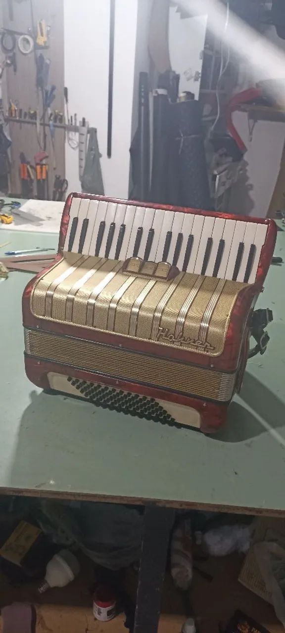Acordeon/ Sanfona 48bx 