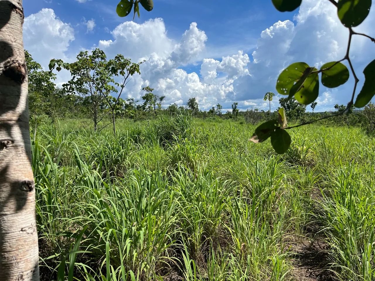 Sítio próximo sadia 3 - Foto 4