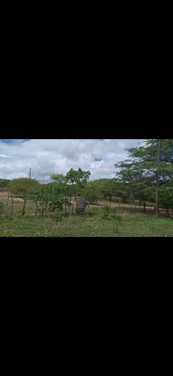 Foto - Campina Grande - Serrotão