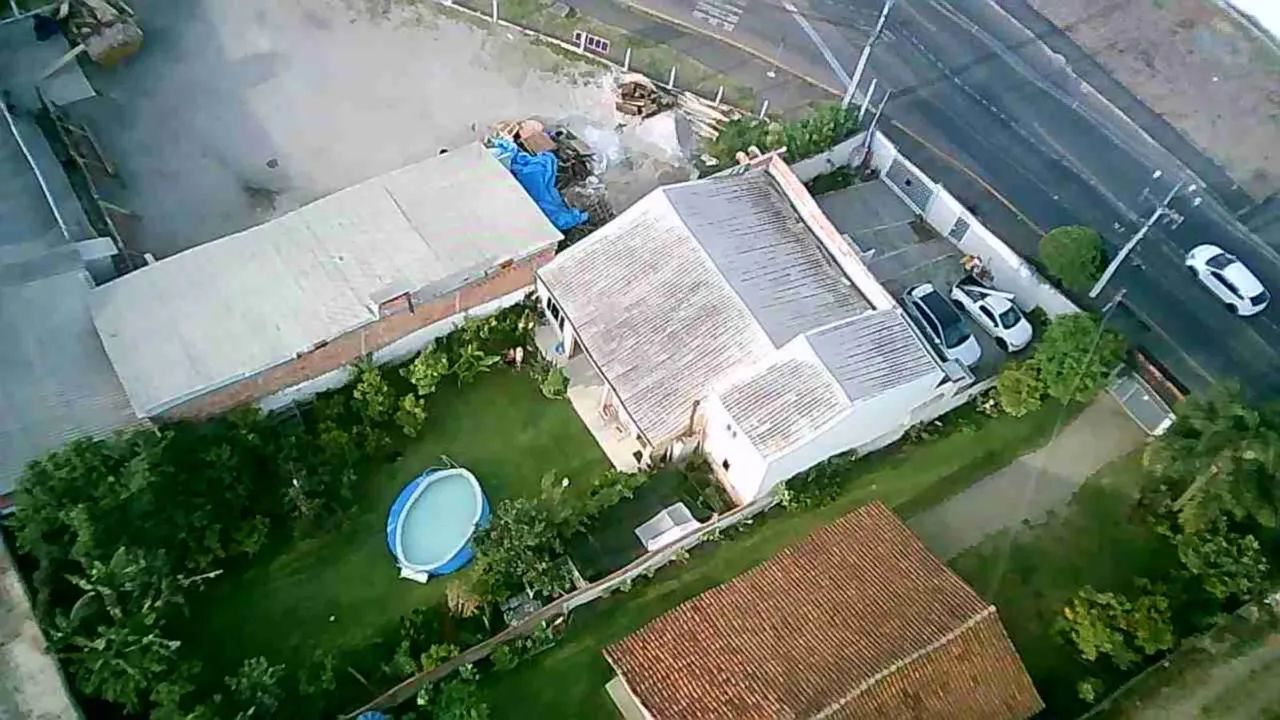 Foto - Araucária - Costeira