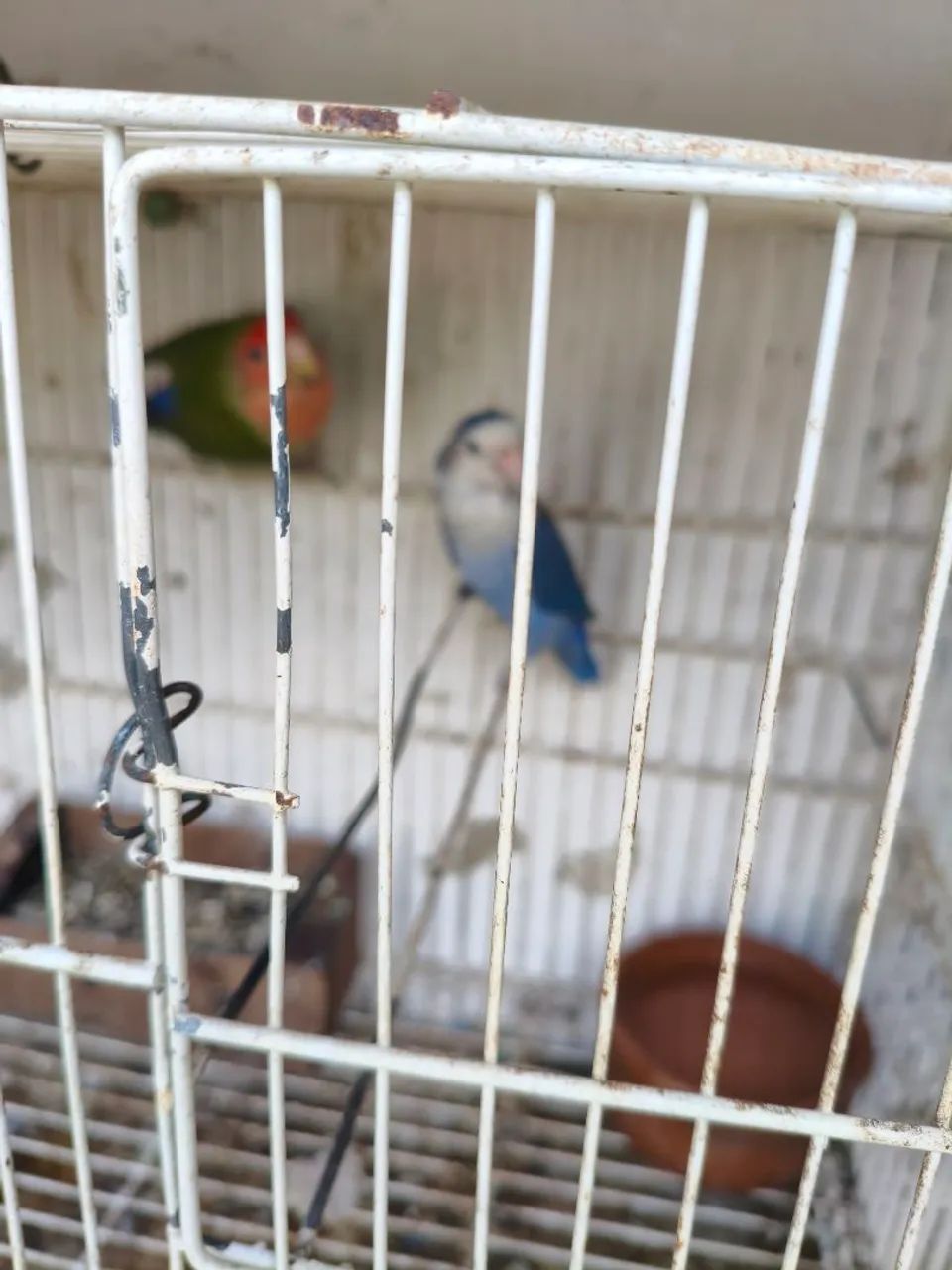 Poleiros  - Foto 2