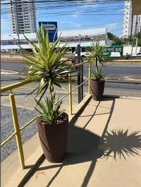 Imovel para locação com estacionamento na Fernando Correia - Foto 2