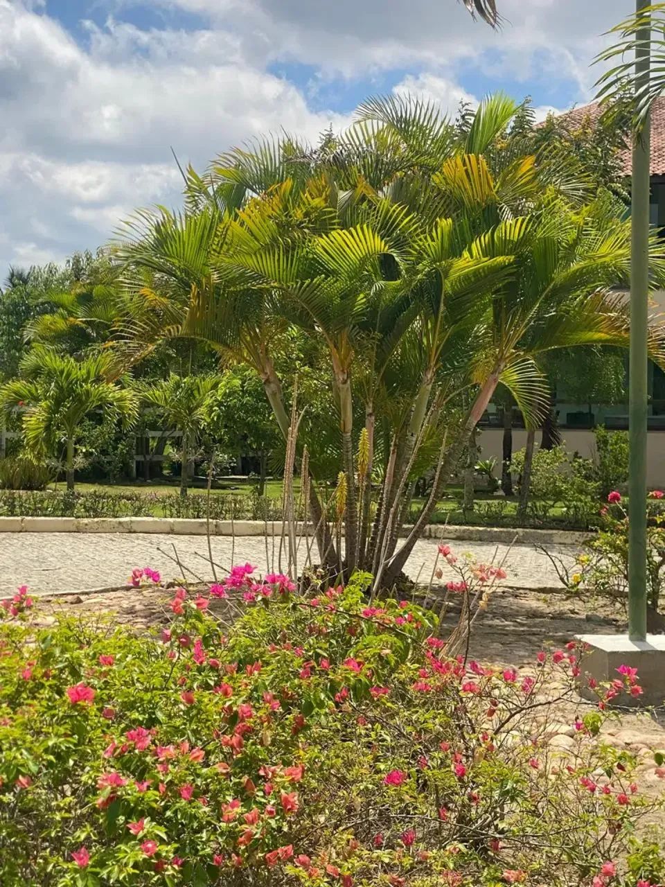 Imóvel para aluguel e venda possui 100m² com 2 quartos em Ebenezer - Gravatá - PE - Foto 4
