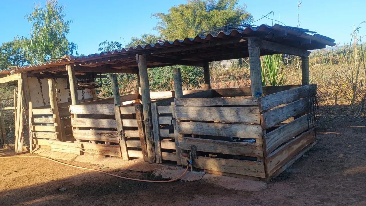 Chácara - 5 Hectares - Foto 3
