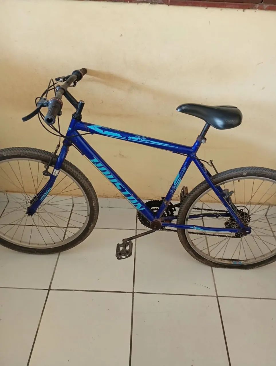 Bicicleta 