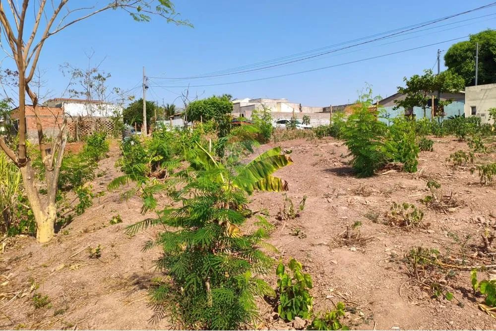 3 Terrenos com preço imperdível no Jardim Liberdade (Qd63, Lt 24) - Foto 4