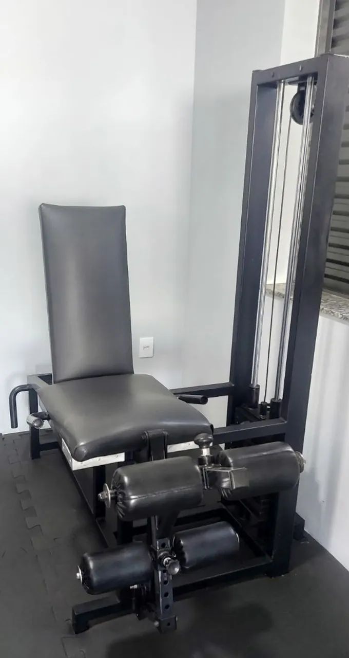 Cadeira Extensora e Flexora 2x1