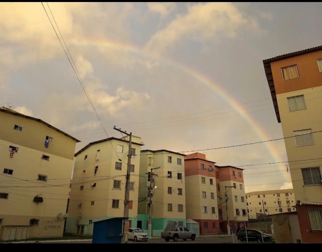 Foto - Salvador - Jardim das Margaridas