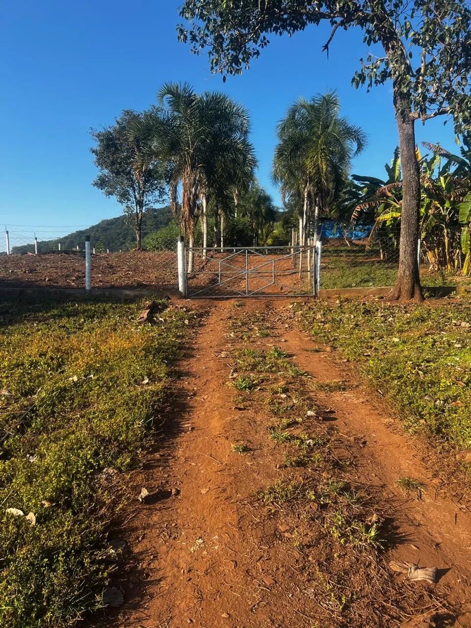 Imóvel rural no varjão em Varjão - Foto 4