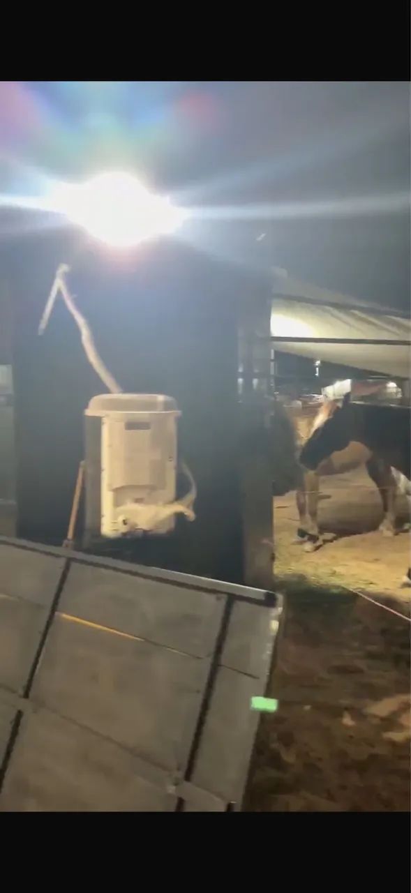 Trailer emplacado pra 3 cavalos com camas e ar-condicionado  - Foto 2